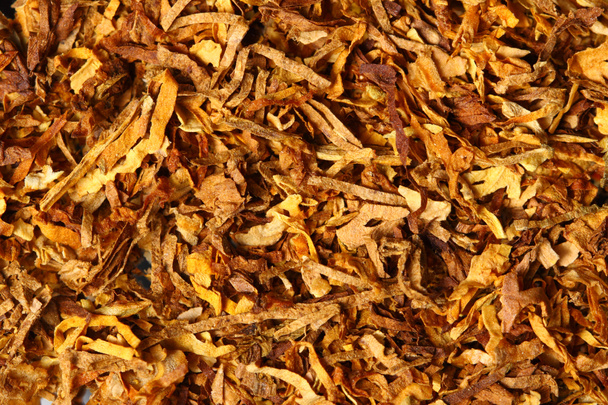 tobacco texture - Photo, Image