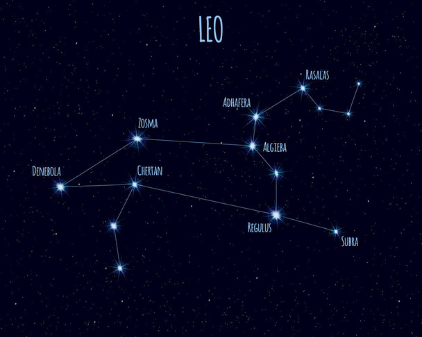 Leo (The Lion) constellation, vector illustration with the names of basic stars against the starry sky - Vektor, obrázek