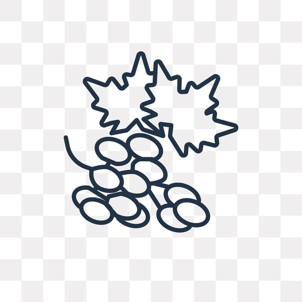 Winogrona wektor zarys ikona na białym tle na przezroczystym tle, wysokiej jakości liniowe winogron przejrzystość koncepcji mogą być używane sieci web i mobilnych - Wektor, obraz