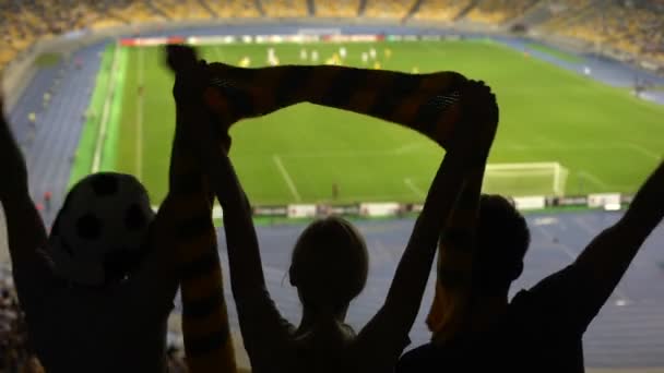 Ιταλικό ποδόσφαιρο οπαδοί υποστηρίζουν την εθνική ομάδα στο sports arena, πρωτάθλημα - Πλάνα, βίντεο