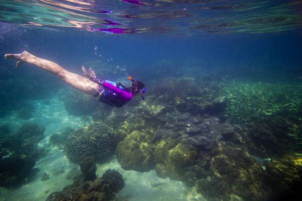 Žena, plavání ve vodě, krásná žena pod vodou před ponorem do korálového útesu, Žena, šnorchlování v modrou masku, šnorchl žena tvář masku, tropické moře, šnorchlování, letní Prázdninové aktivity - Fotografie, Obrázek