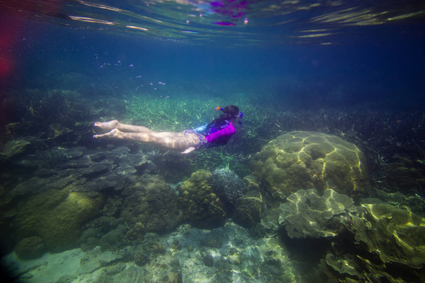 Žena, plavání ve vodě, krásná žena pod vodou před ponorem do korálového útesu, Žena, šnorchlování v modrou masku, šnorchl žena tvář masku, tropické moře, šnorchlování, letní Prázdninové aktivity - Fotografie, Obrázek