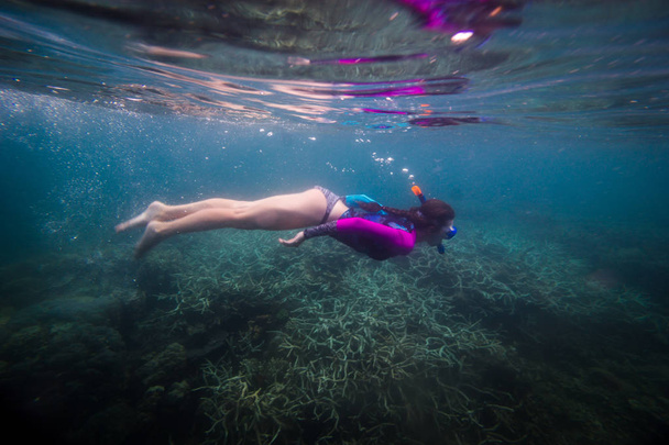 Γυναίκα κολυμπώντας στο νερό, όμορφη γυναίκα κάτω από το νερό πριν από την κατάδυση σε κοραλλιογενή ύφαλο, γυναίκα ψαροντούφεκο στα μπλε μάσκα, αναπνευστήρας γυναίκα πρόσωπο μάσκα, τροπική θάλασσα ψαροντούφεκο, καλοκαιρινές διακοπές δραστηριότητας - Φωτογραφία, εικόνα