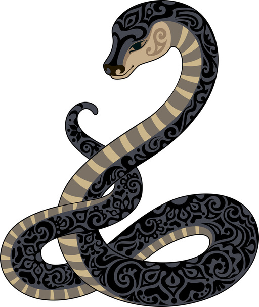bela cobra
 - Vetor, Imagem