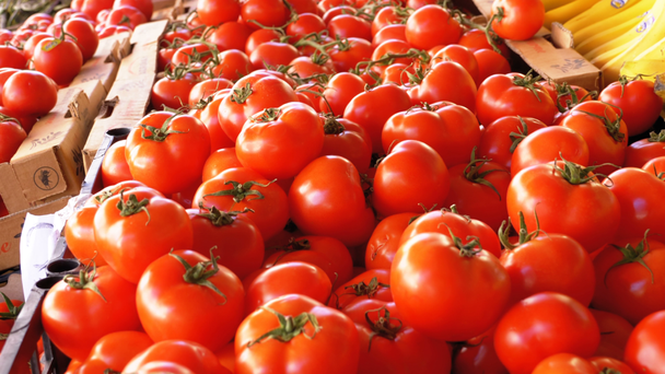Vitrína s rajčaty na pouliční trh - Záběry, video