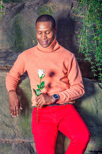 Man Thinking about You. Dressing in light orange sweater with high collar, red pants, wearing wristwatch, a young black guy is standing against rocks, holding a white rose, looking down, smiling - Zdjęcie, obraz