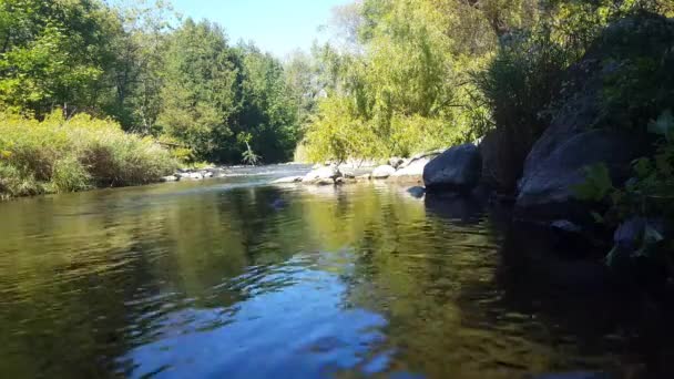 sauber ruhig fließenden Fluss unter Brücke mit Verkehr oben in Nordamerika - Filmmaterial, Video