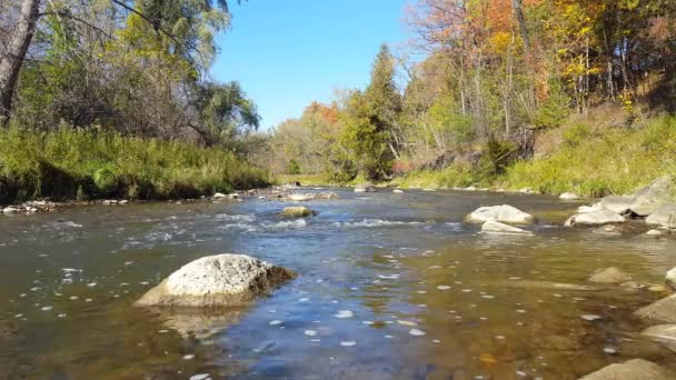 Fluss im Herbst in Nordamerika. Blätter verfärben sich mit dem Herbst. - Filmmaterial, Video