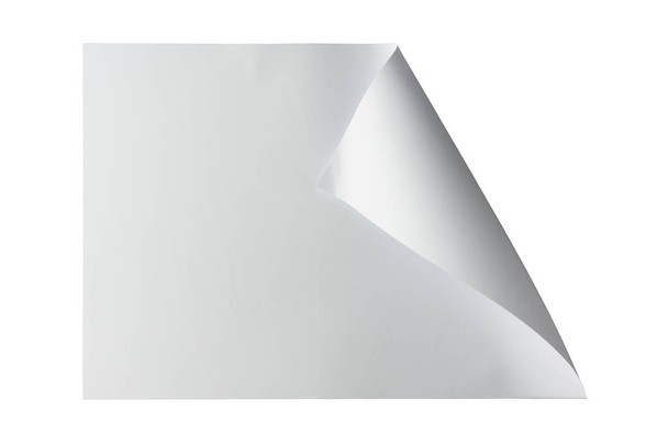 Чистый лист бумаги с рулонами изолированы на белом фоне с обрезкой пути
. - Фото, изображение