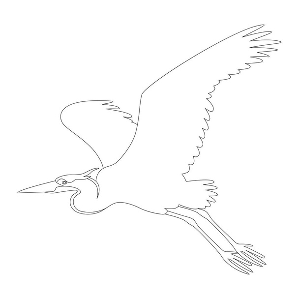 a heron repül bélés húz vektor illusztráció   - Vektor, kép