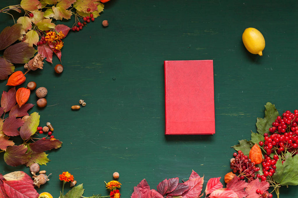 libro de fondo de otoño hojas amarillas y rojas de bayas frutos secos
 - Foto, imagen