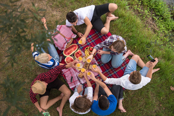 group of young friends enjoying picnic time drink and food in beautiful nature on the river bank top view - Foto, immagini