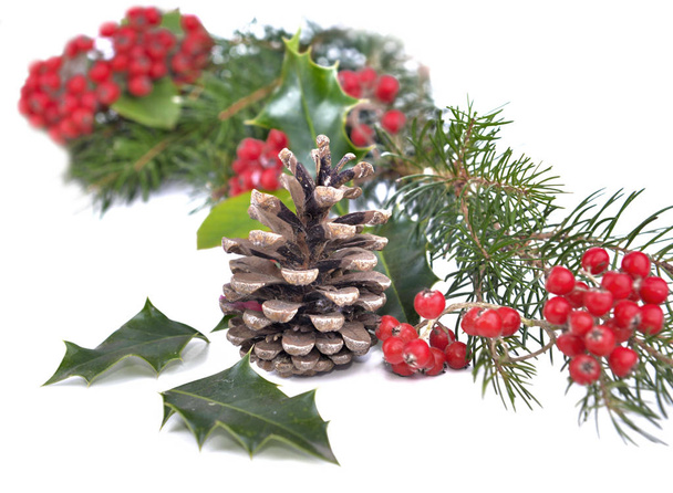pijnboomtakken, holly en bessen in natuurlijke en traditionele Kerstdecoratie op witte achtergrond - Foto, afbeelding