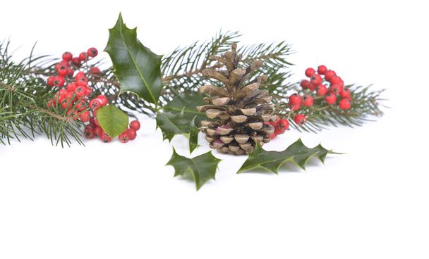 Kiefernzweige, Stechpalmen und Beeren in natürlicher und traditioneller Weihnachtsdekoration auf weißem Hintergrund - Foto, Bild