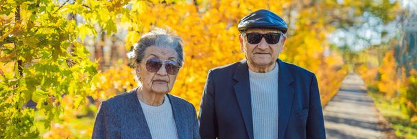 Pensioners in sunglasses in the autumn forest. Pensioners like gangsters BANNER, LONG FORMAT - Fotó, kép