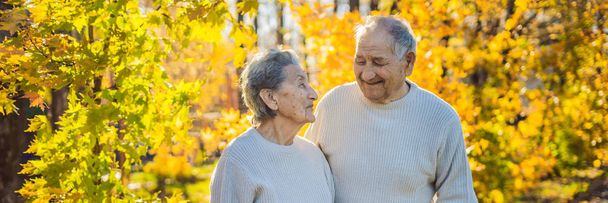 Happy senior citizens in the autumn forest. family, age, season and people concept - happy senior couple walking over autumn trees background BANNER, LONG FORMAT - Foto, afbeelding