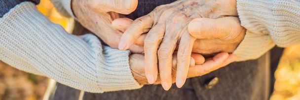 elderly couple holding hands in autumn park BANNER, LONG FORMAT - Фото, изображение