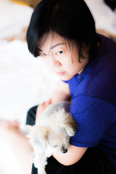 asiatische Frau und Hund glücklich lächelnd umarmt ihre Streicheleinheiten ist ein Hund so niedlich Mischling mit shih-tzu, Pommer und Pudel auf dem Bett mit weißem Schleier im Schlafzimmer zu Hause oder im Hotel - Foto, Bild