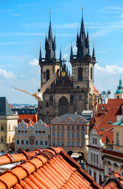 Tynsky katedrála Praha - Fotografie, Obrázek