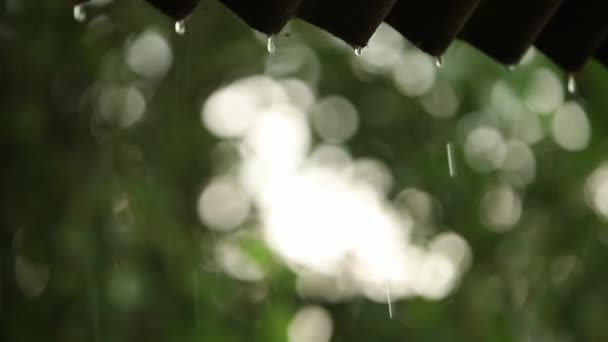 Close-up van regen druppels te laten vallen in de achtergrondverlichting van een dak tijdens een stortbui. Slow motion video - Video