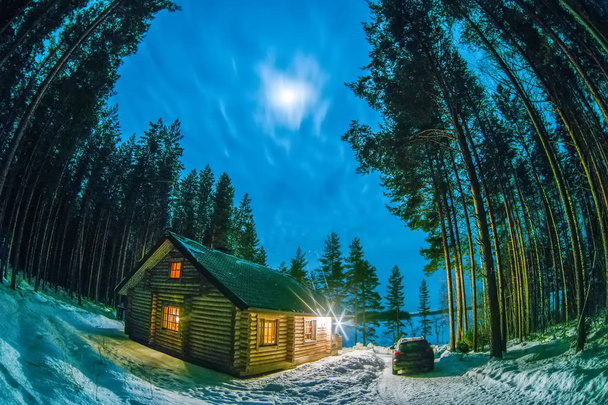 A lonely house in a pine forest in winter - Fotoğraf, Görsel