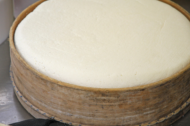 сырная фабрика по производству сыра и свежей качоты с
 - Фото, изображение