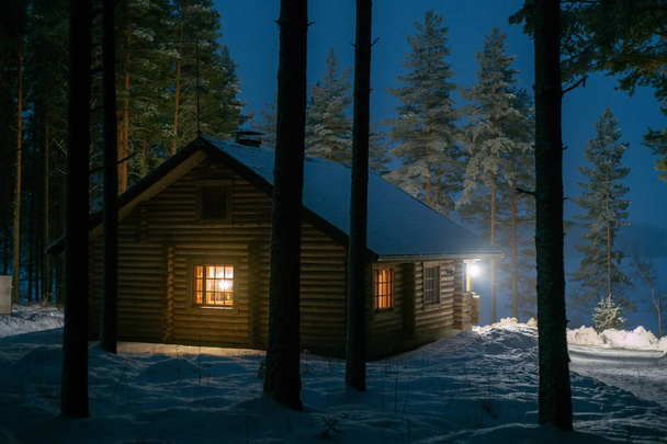 A lonely house in a pine forest - Fotoğraf, Görsel