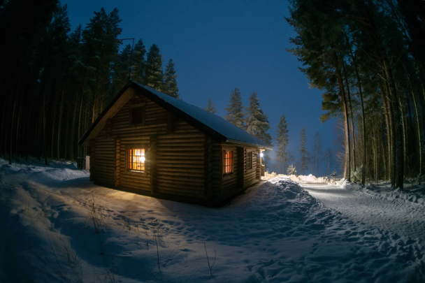 A lonely house in a pine forest - Fotoğraf, Görsel