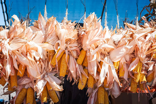 Oreilles séchées de maïs attachées ensemble et accrochées pour être exposées au Nouveau-Mexique
. - Photo, image