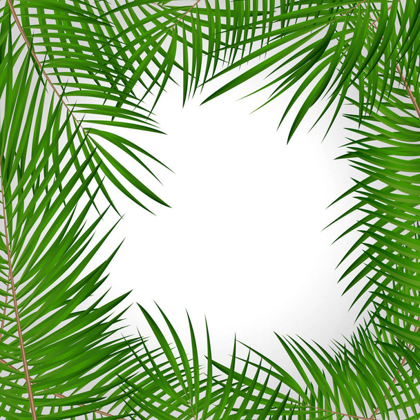Rahmen mit Palmblatt-Vektorhintergrund isolierte Illustration - Vektor, Bild