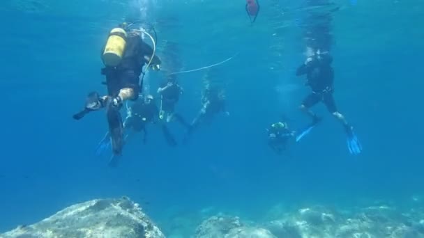 Immersioni subacquee - Filmati, video
