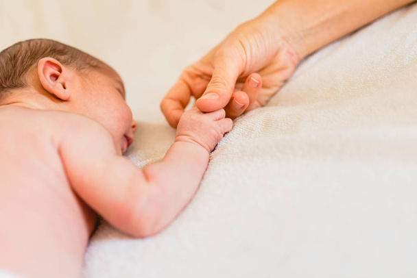 Μικρά χέρια και δάχτυλα του νεογέννητου μωρού. - Φωτογραφία, εικόνα