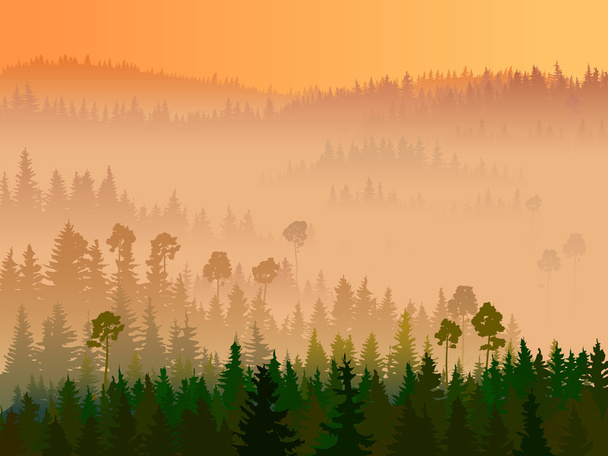Illustration of valley with coniferous wood. - Vector, Image
