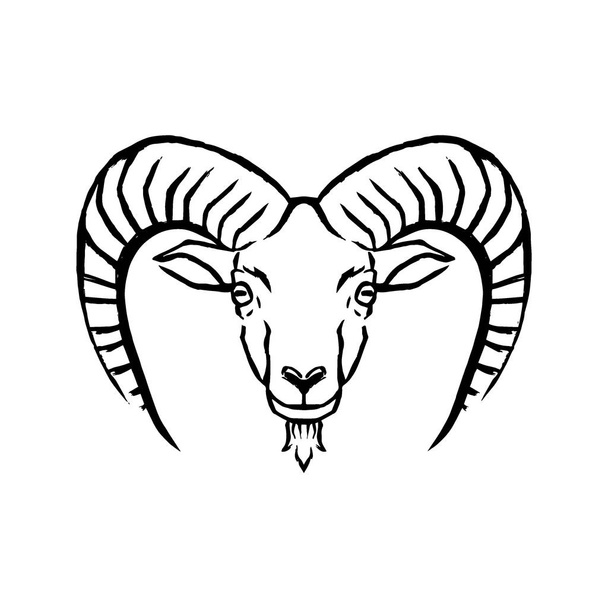 Vector Mouflon Illustration Isolated On White Background - Vektör, Görsel