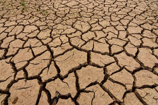 Η γη είναι ραγισμένα λόγω ξηρασίας το καλοκαίρι. Φαινομένου του θερμοκηπίου και την αλλαγή του κλίματος το φαινόμενο του θερμοκηπίου είναι ένα παγκόσμιο φαινόμενο. - Φωτογραφία, εικόνα