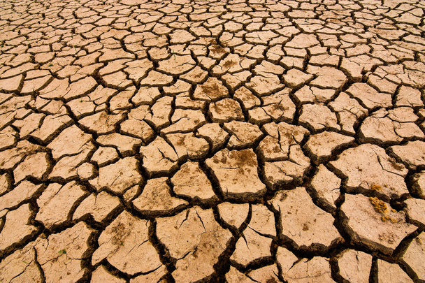 Η γη είναι ραγισμένα λόγω ξηρασίας το καλοκαίρι. Φαινομένου του θερμοκηπίου και την αλλαγή του κλίματος το φαινόμενο του θερμοκηπίου είναι ένα παγκόσμιο φαινόμενο. - Φωτογραφία, εικόνα