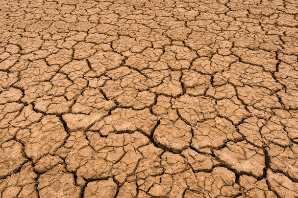 Die Erde ist aufgrund der Trockenheit im Sommer rissig. Globale Erwärmung und Treibhauseffekt Klimawandel ist ein weltweites Phänomen. - Foto, Bild
