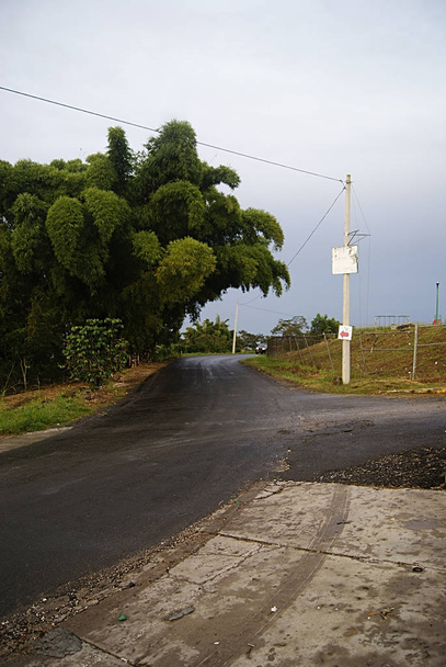 Camino rural de pavimento con plantio de bamb a lado con sello de trnsito.  - Foto, imagen