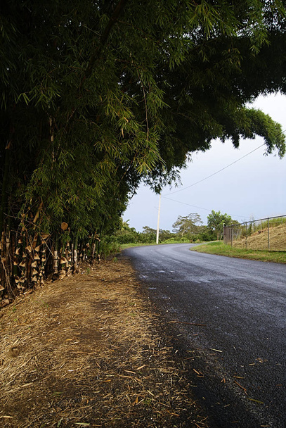 Vista lateral de camino rural con plano de bwith a lado de la carretera, en Veracruz, México 2018. - Foto, Imagen