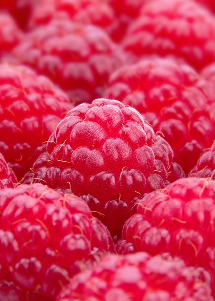 Raspberry fruit macro - Photo, Image