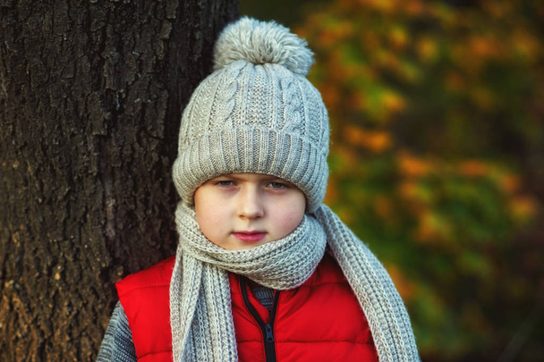 Porträt eines Jungen mit warmer Strickmütze und Schal. ein Kind auf einem Spaziergang im herbstlichen Wald - Foto, Bild