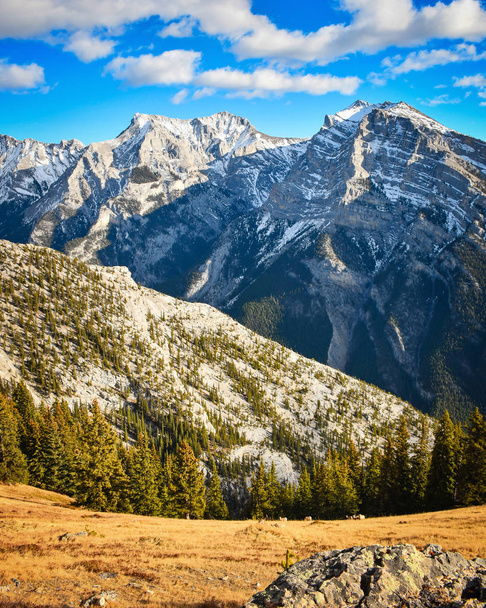 Οροσειρά τα βραχώδη όρη το φθινόπωρο από τις πλαγιές του Mount κυρίας Macdonald κοντά σε Canmore, Αλμπέρτα, Καναδάς - Φωτογραφία, εικόνα