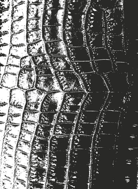 Distressed overlay texture of crocodile or snake skin leather, grunge vector background. - Vector, Image