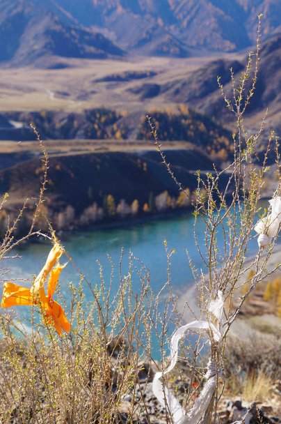 Religious prayer ribbons tied to a tree at Confluence of Chuya and Katun rivers in Altai, Russia. - Photo, Image