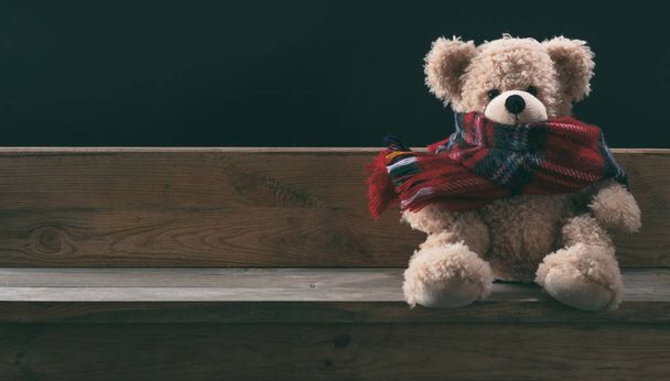 Зима, холодна погода, самотність. Тедді з шарфом сидить один на дерев'яній лавці, банер, простір для копіювання
 - Фото, зображення