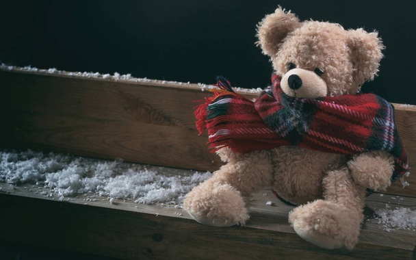 Winter, cold weather, loneliness. Teddy with scarf sitting alone on a snowed bench, copy space - Foto, Imagem