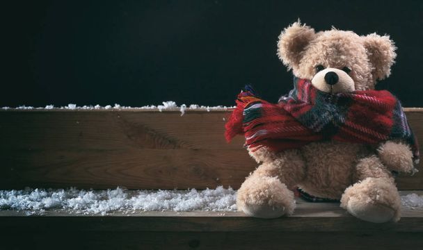 Invierno, frío, soledad. Peluche con bufanda sentado solo en un banco nevado, pancarta, espacio para copiar
 - Foto, imagen