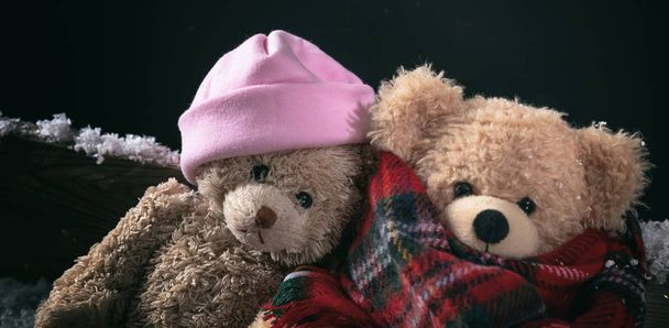 Зима, холодна погода, кохання. Пара плюшевих ведмедів, що сидять на відкритому повітрі, на засніженій лавці, вид крупним планом
 - Фото, зображення