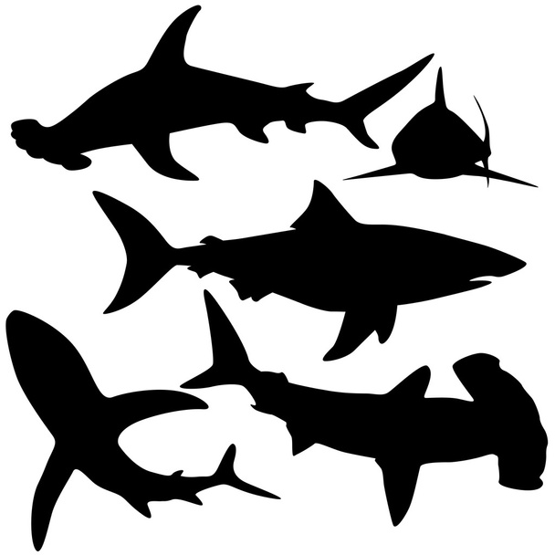 Silhouettes of european fishes - Vector, Image