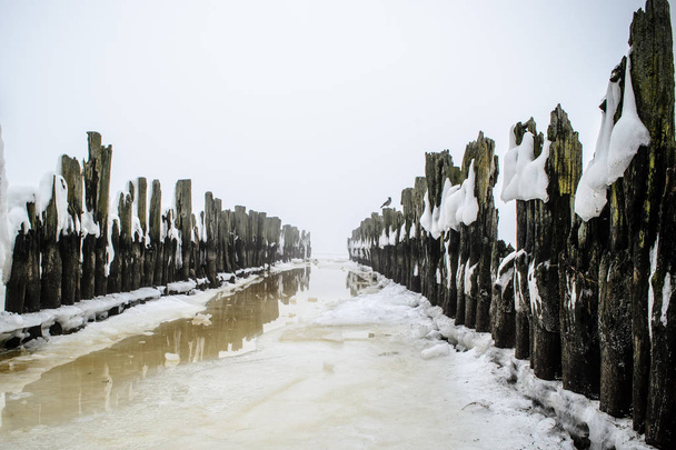 Uma vista de velhos postos de quebra-mar no inverno, Riga Bay, Letónia
 - Foto, Imagem